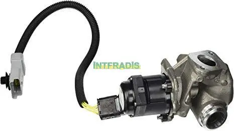 EGR Valve