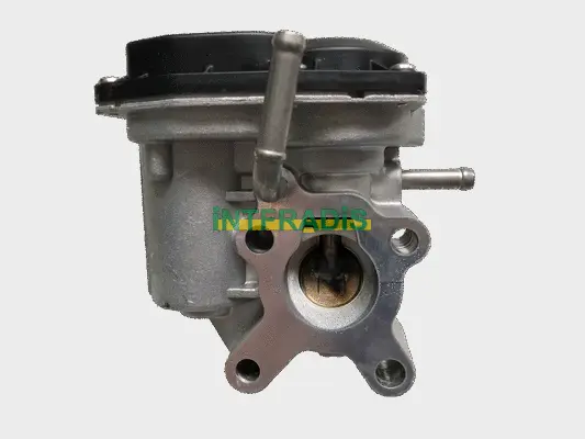 EGR Valve (25996)