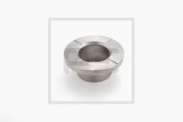 Bearing (100.048-00A)