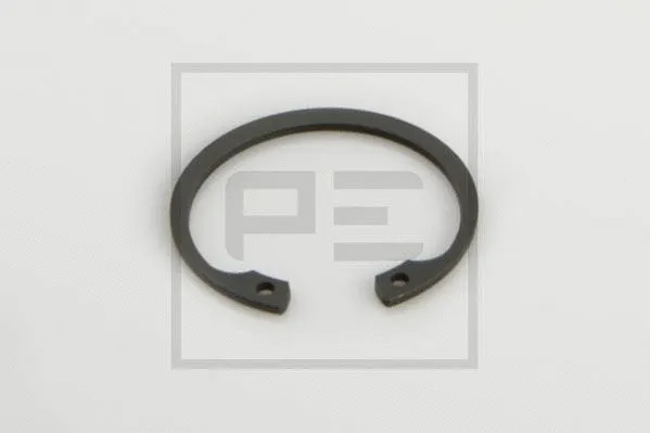 Circlip (013.227-00A)