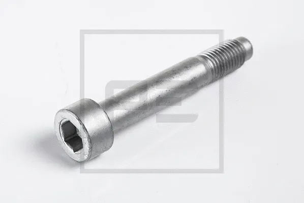 Screw (066.255-10A)