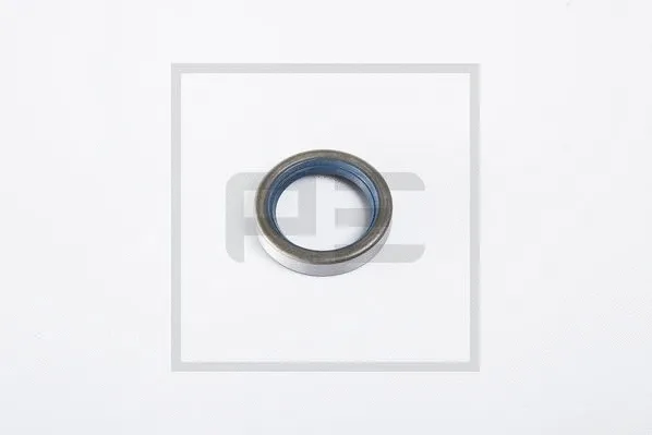 Shaft Seal (020.253-00A)