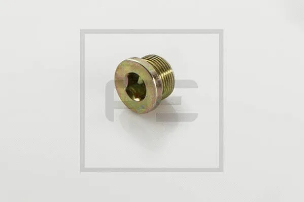 Screw Plug (011.335-00A)