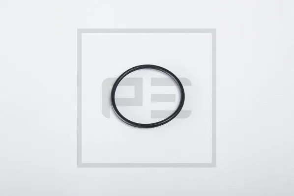 Seal Ring (266.514-00A)