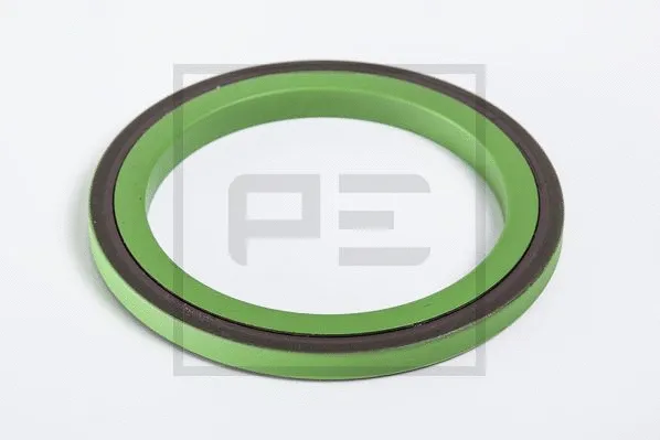 Shaft Seal (020.039-00A)