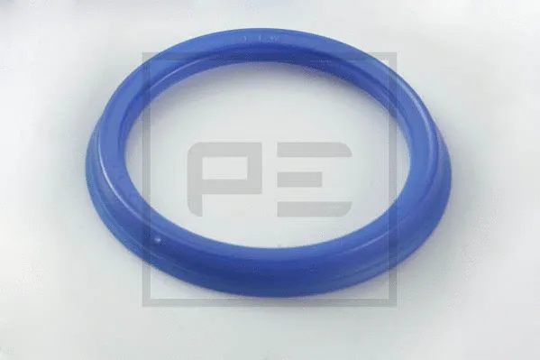 Seal Ring (100.021-00A)