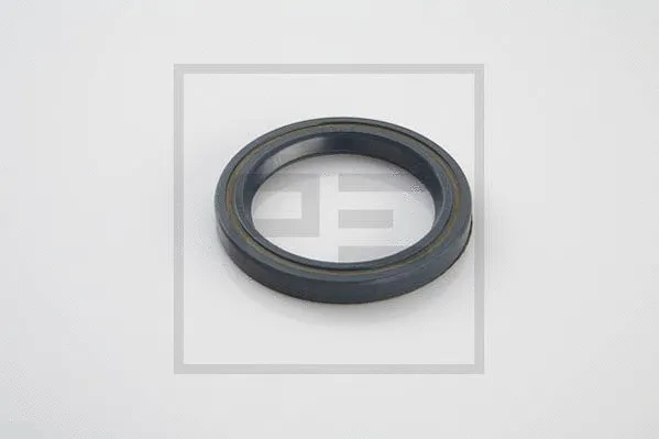 Seal Ring (126.024-00A)