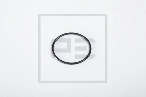 Seal Ring (011.273-00A)