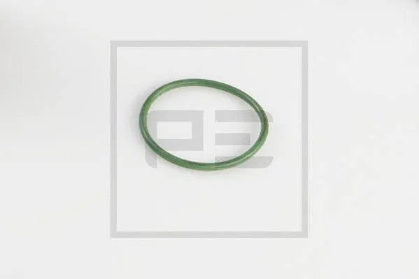 Seal Ring (046.193-00A)