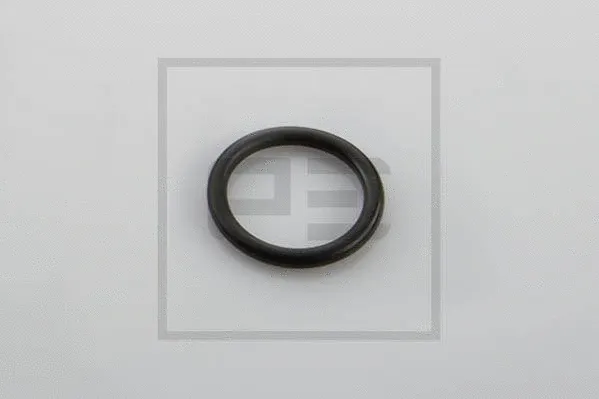 Seal Ring (016.096-00A)