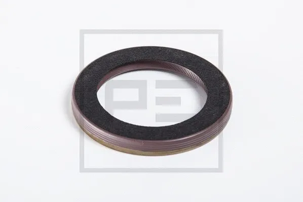 Shaft Seal (250.217-00A)