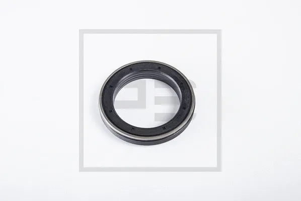 Shaft Seal (100.434-00A)