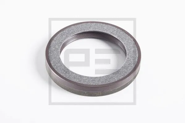 Shaft Seal (010.815-00A)