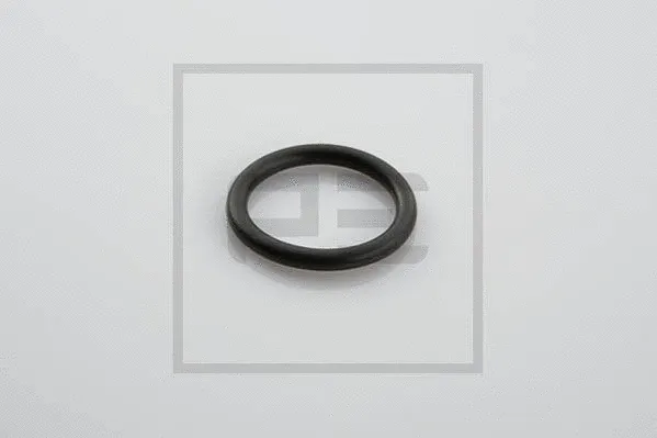 Seal Ring (126.017-00A)