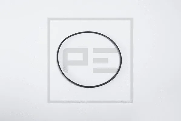 Seal Ring (066.176-00A)