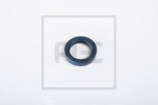 Shaft Seal (100.452-00A)