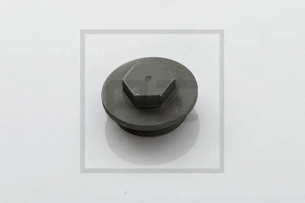 Screw Plug (011.344-00A)