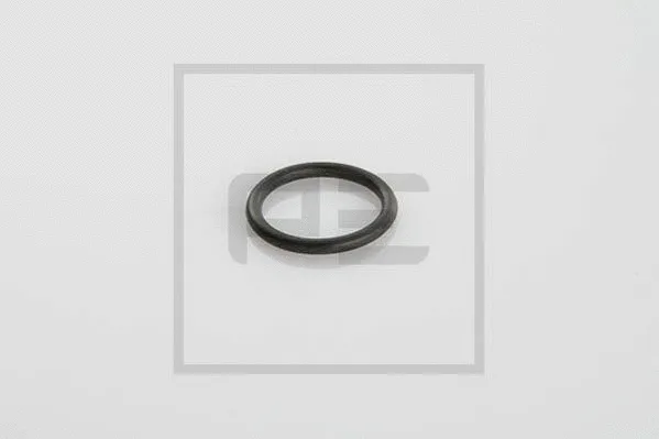Seal Ring (046.101-00A)
