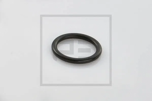 Seal Ring (036.621-00A)