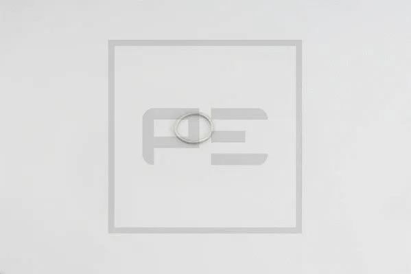 Seal Ring, oil drain plug (011.057-00A)