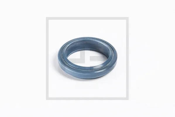 Shaft Seal (020.031-00A)
