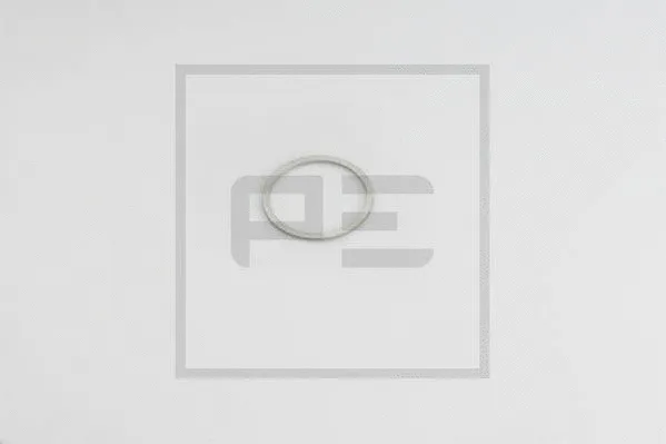 Seal Ring (076.220-00A)