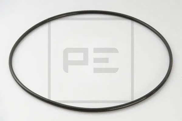 Seal Ring (120.418-00A)