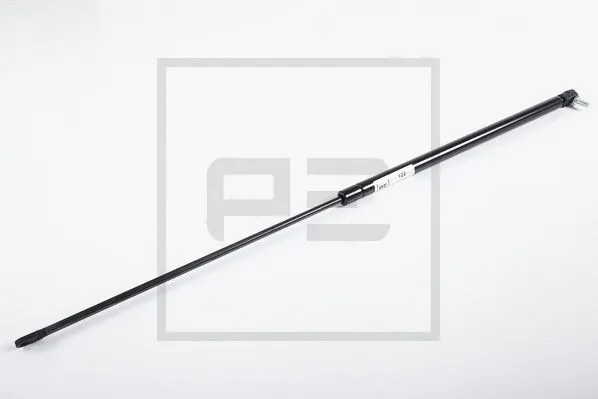 Gas Spring (010.444-00A)