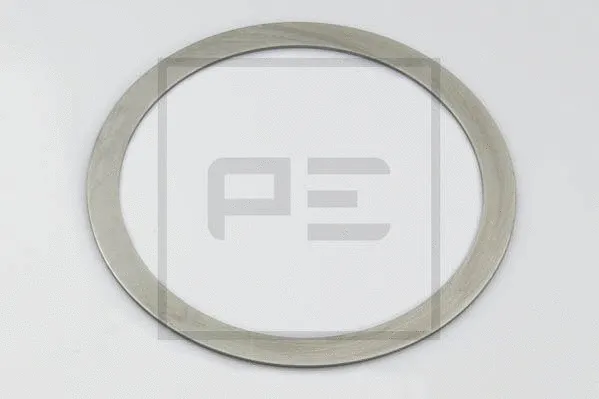 Cover Plate, dust-cover wheel bearing (031.194-00A)