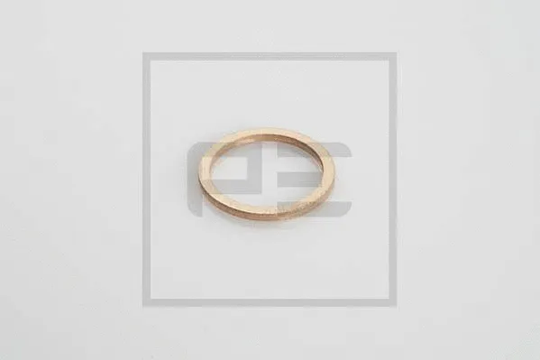 Seal Ring (076.222-00A)