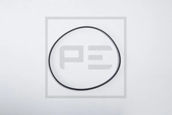 Seal Ring (066.172-00A)