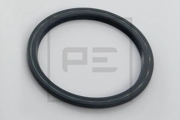 Shaft Seal, wheel hub (011.499-00A)