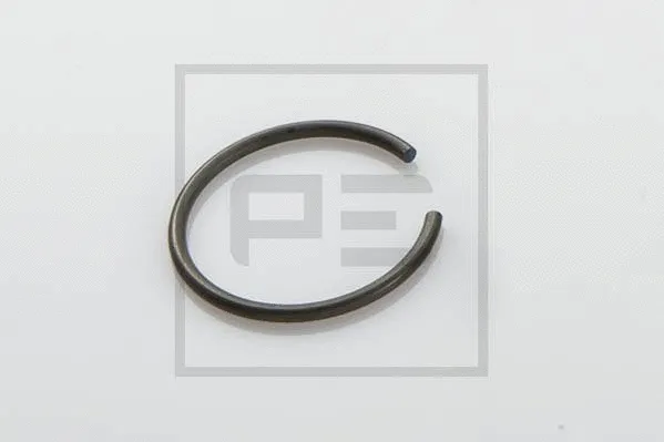 Circlip (013.243-00A)