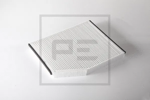 Filter, cabin air (110.001-00A)