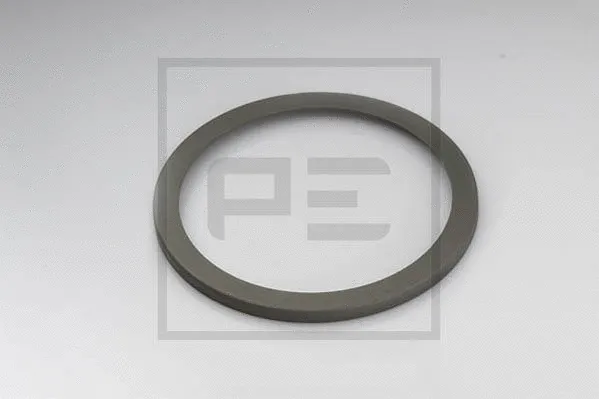 Cover Plate, dust-cover wheel bearing (011.093-00A)