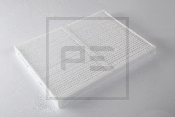 Filter, cabin air (089.207-00A)