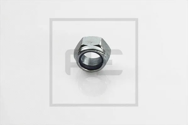 Nut (010.520-00A)