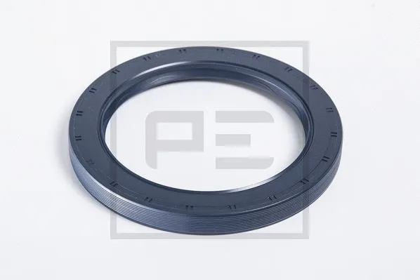 Shaft Seal (250.216-00A)
