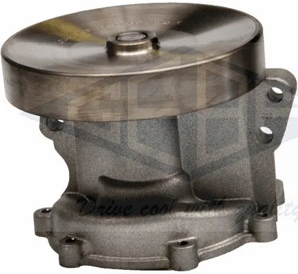 Water Pump, engine cooling (80010)