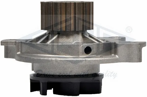 Water Pump, engine cooling (19010)