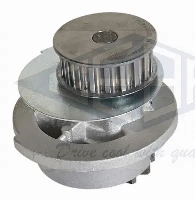 Water Pump, engine cooling (480)