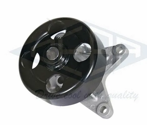 Water Pump, engine cooling (60055)
