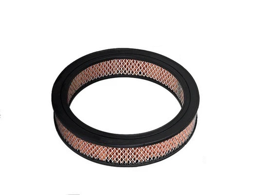 Air Filter (ACA31)