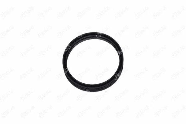 Seal, fuel tank cap (27217)
