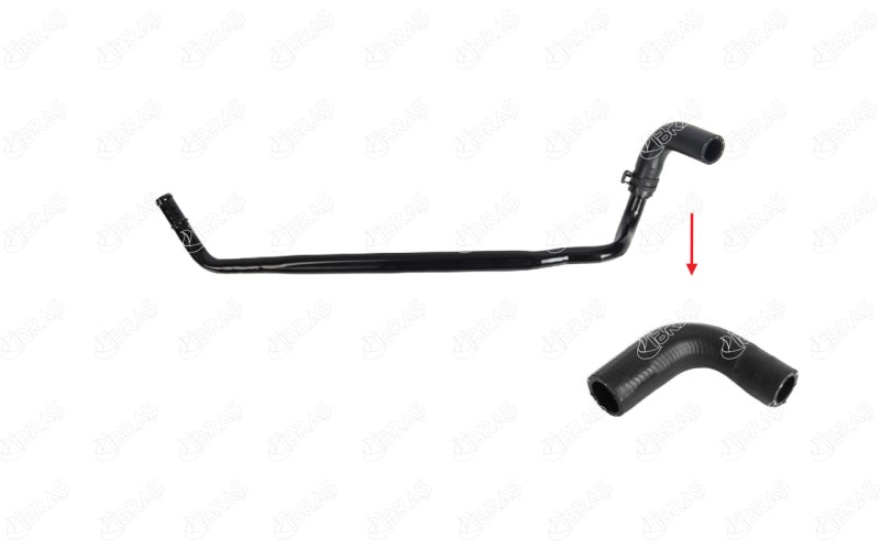 Radiator Hose (21091)