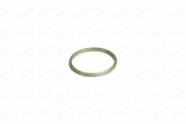 Seal Ring, charge air hose (27249)