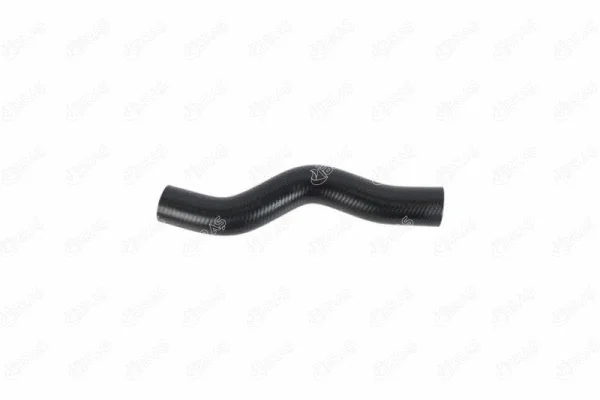 Radiator Hose (23307)
