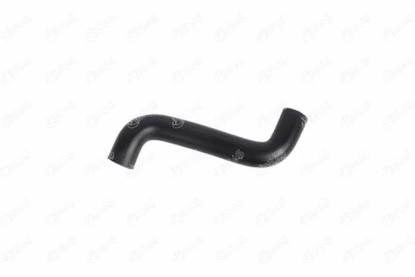 Radiator Hose (33402)