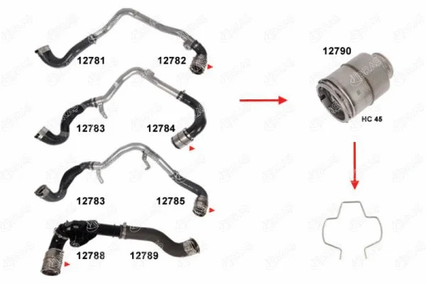 Fastening Clamp, charge air hose (12792)