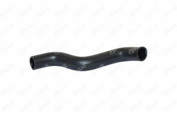 Radiator Hose (19813)